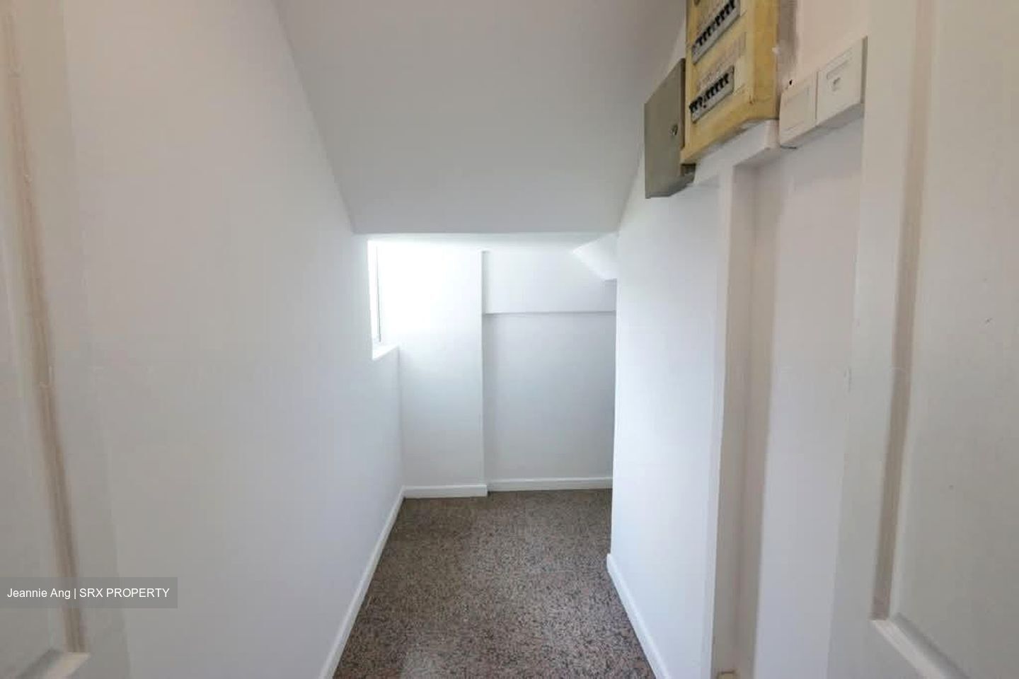 Tembeling Mansions (D15), Apartment #593393881